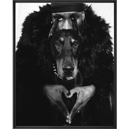 photographie-d-art-peugeot-x-