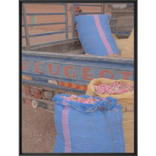 ART PHOTOGRAPHY PEUGEOT X YELLOWKORNER "TREASURES"