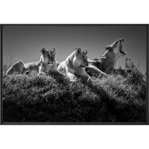 ART PHOTOGRAPHY PEUGEOT X YELLOWKORNER “WAKE UP CALL”